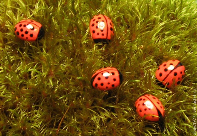 Делаем божью коровку из кофейного зёрнышка