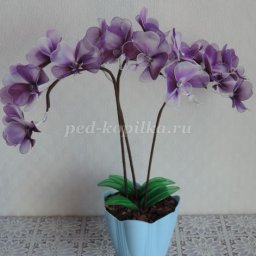 Орхидея фаленопсис из капрона и проволоки: мастер-класс, часть 2