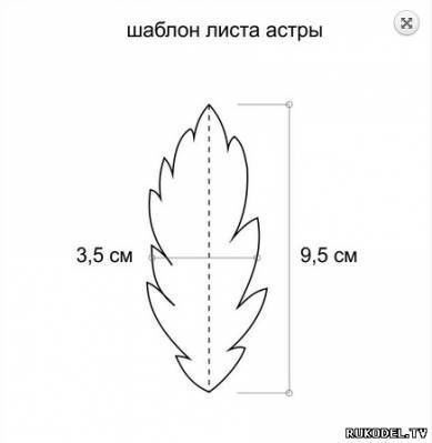 Мастер-класс: "Цветок астры" из фоамирана