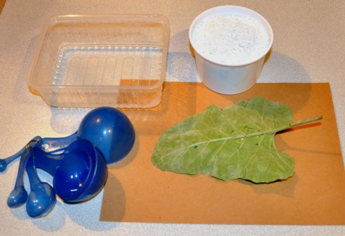 ​Мастер-класс по изготовлению оригинального блюда "Листья": часть 1