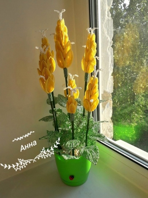 ​Пахистахис из бисера и рубки