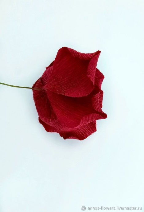 ​Мастерим красивую розу из гофрированной бумаги: часть 3