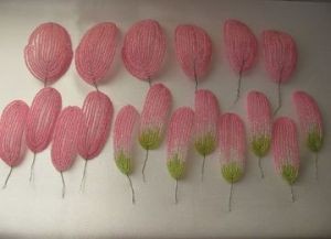 ​Кактус "Розовая мечта"