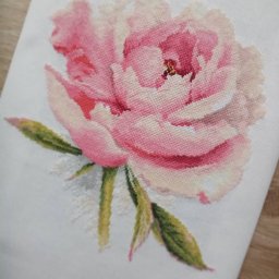 ​Роскошный пион