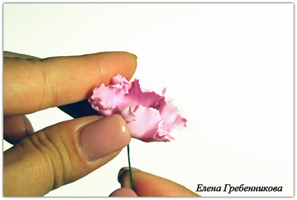 Брассика из холодного фарфора: мастер-класс, часть 2