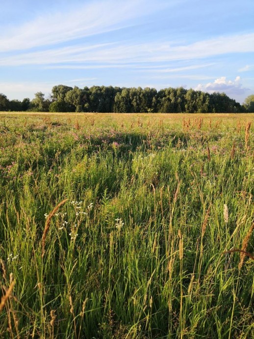 Про изготовление натуральных восковых свечей с травами Про изготовление натуральных восковых свечей с травами