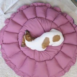 Лежанка-трансформер для животных