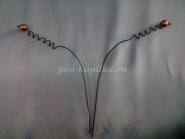 Денежный топиарий: часть 1 Денежный топиарий: часть 1