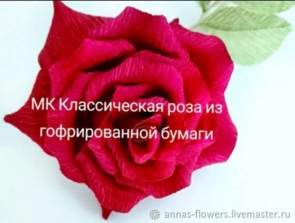 ​Мастерим красивую розу из гофрированной бумаги: часть 1