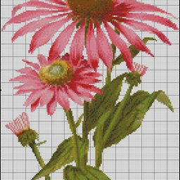 ​Прекрасные букеты: часть 12