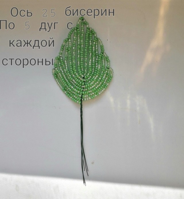 ​Пахистахис из бисера