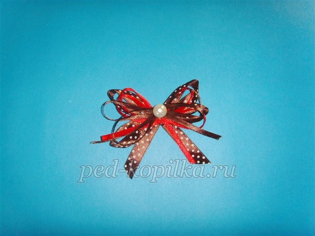 Подкова из кофейных зерен своими руками: часть 2