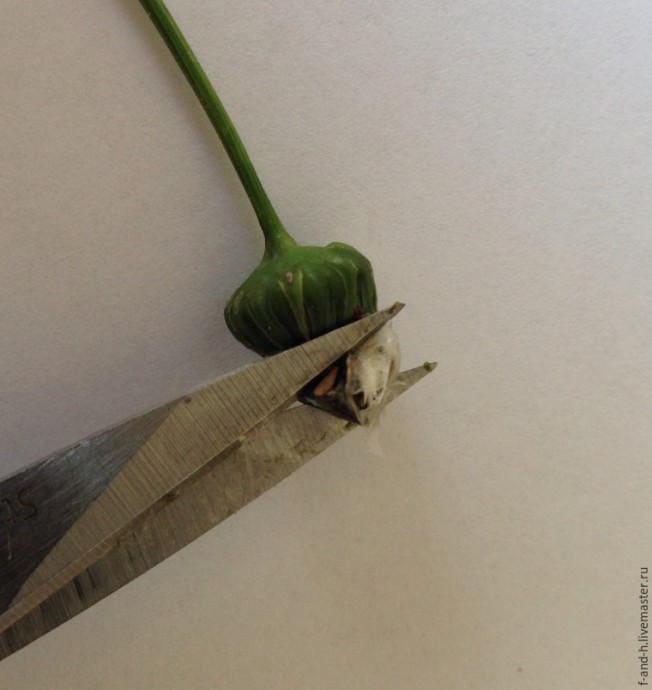 ​Как сделать тычинки для цветов за 5 минут