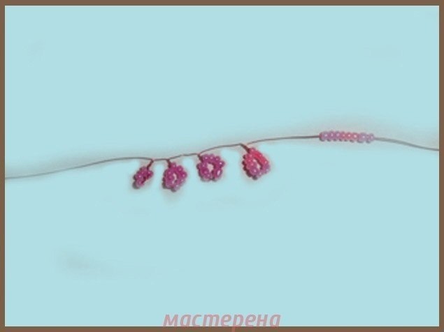 Бисерная глициния