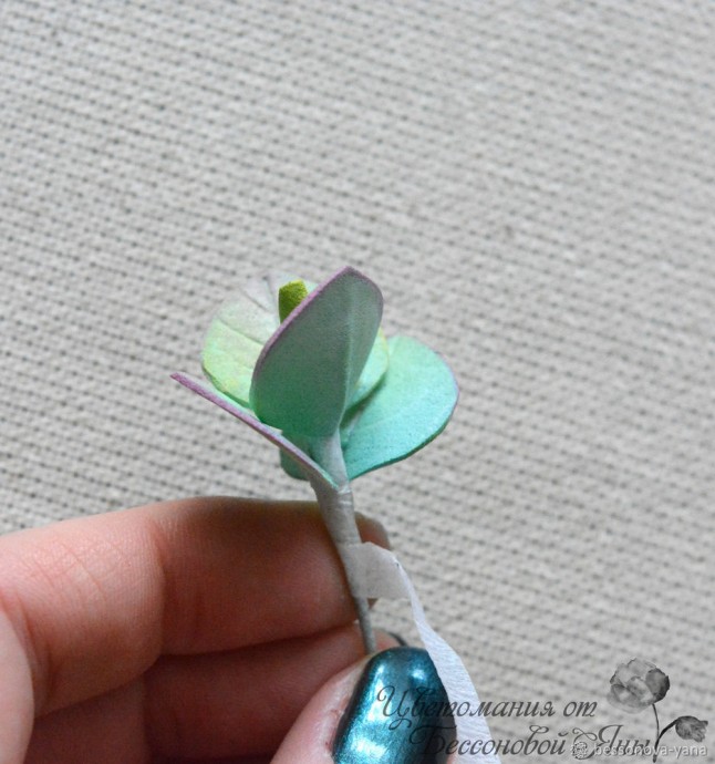 Создаем эвкалипт "Бейби Блю" из фоамирана: часть 2