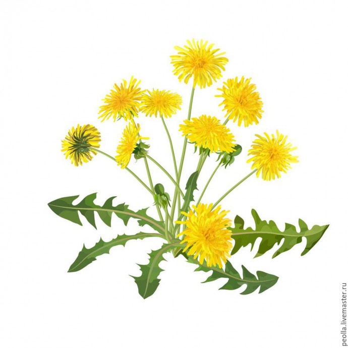 Уроки дизайна вышивки: композиция