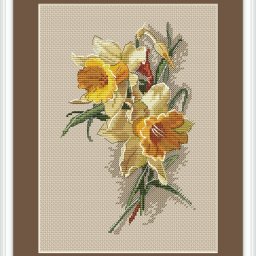 ​Весенние нарциссы