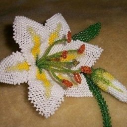 Лилия из биcеpa