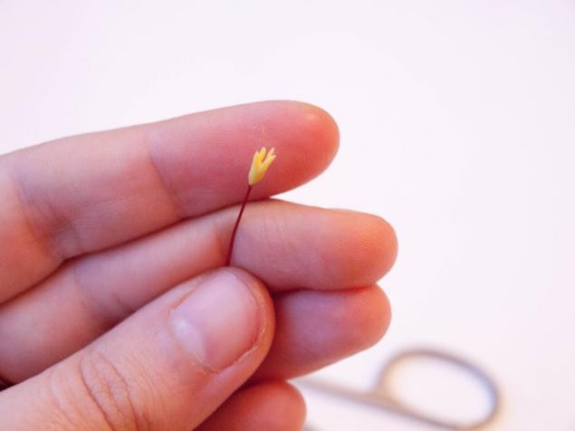 Гиацинт из холодного фарфора: подробный мастер-класс для начинающих, часть 2