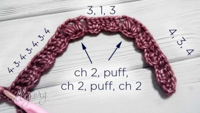 Круглая кокетка реглан для кардигана со стрекозами