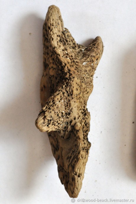 ​Создаем абстрактную композицию с морскими мотивами