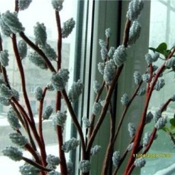 Верба из бисера