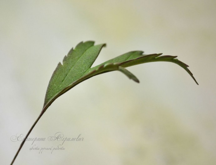 Создаем цветок "Ветреница дубравная" из фоамирана: мастер-класс, часть 4