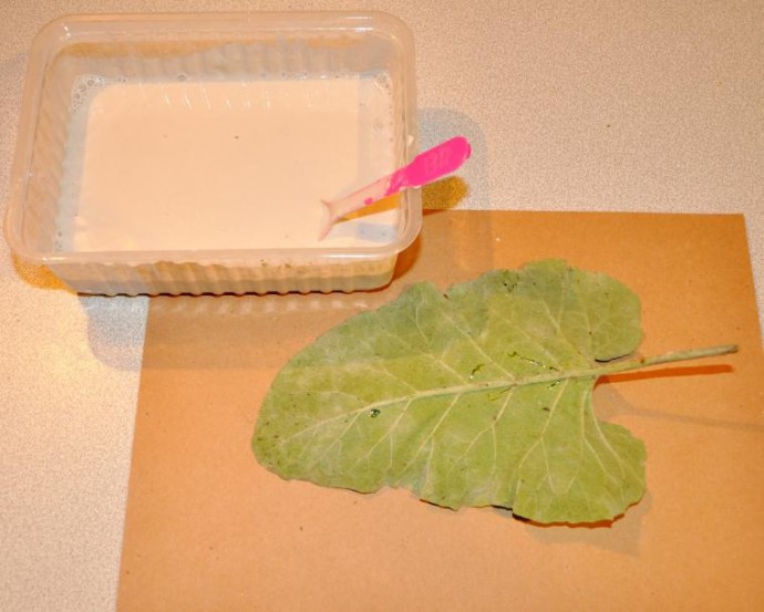 ​Мастер-класс по изготовлению оригинального блюда "Листья": часть 1