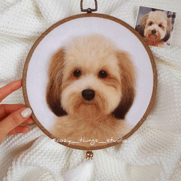 ​Валяем из шерсти кошек и собак