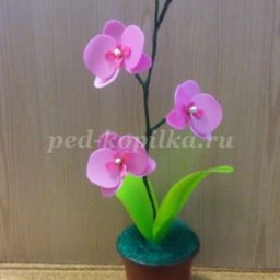 Орхидея из пластиковых бутылок: мастер-класс