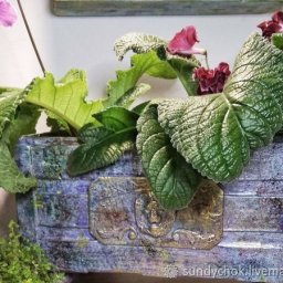 ​Ящик со львом в технике папье-маше: часть 3