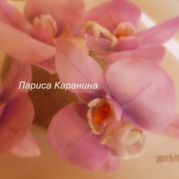 Мастер-класс: орхидея из шелка