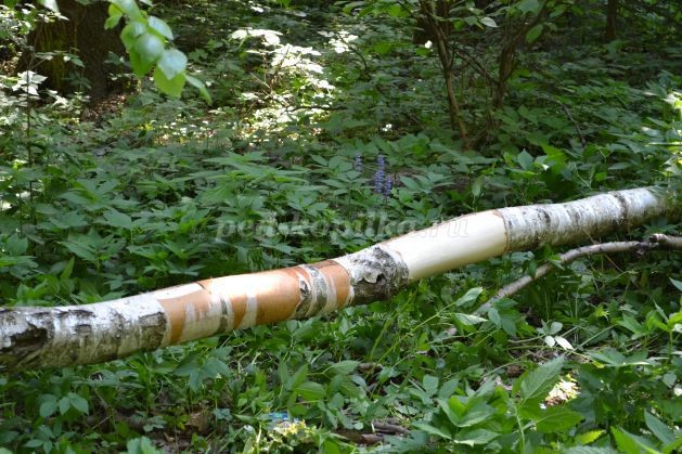 Лилии из бересты