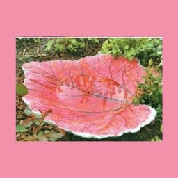 Раковина для декоративного садового водоема