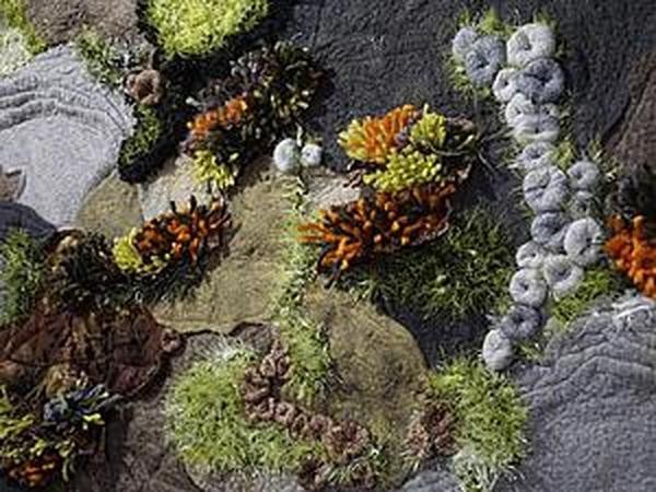 ​Шьем уютный коврик "Лесная полянка": часть 1