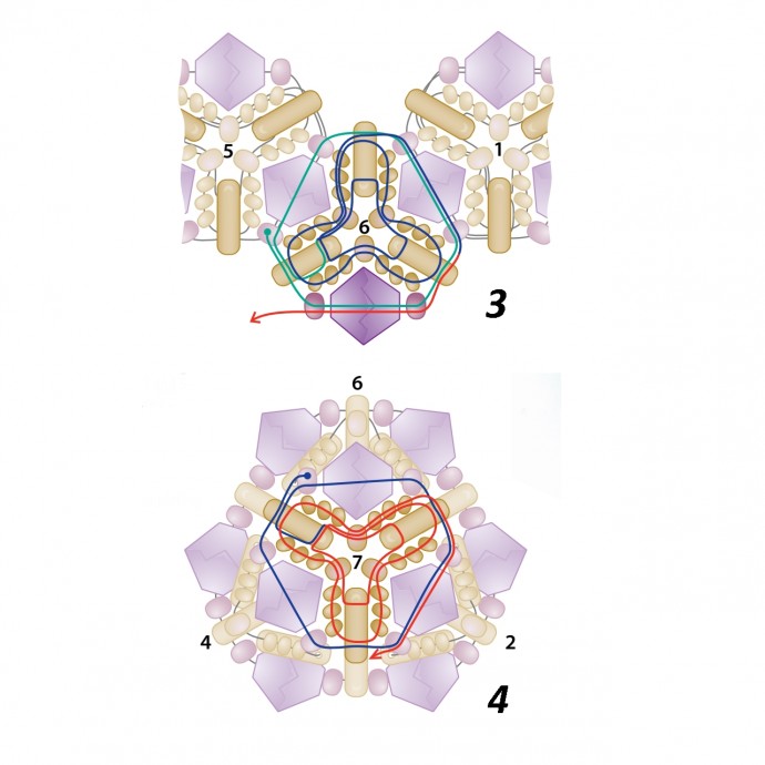 Ожерелье с бусинами в форме восьмигранника Ожерелье с бусинами в форме восьмигранника