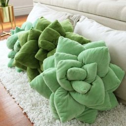 Подушки-суккуленты