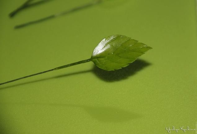 Веточка цветущей вишни из холодного фарфора: часть 3