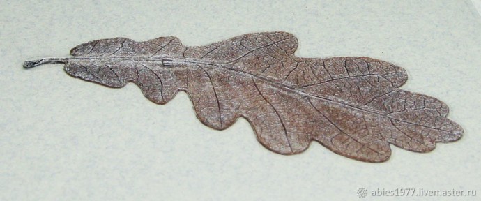 Как просто заламинировать гербарий: часть 2 Как просто заламинировать гербарий: часть 2