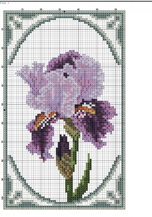 Прелесть ирисов