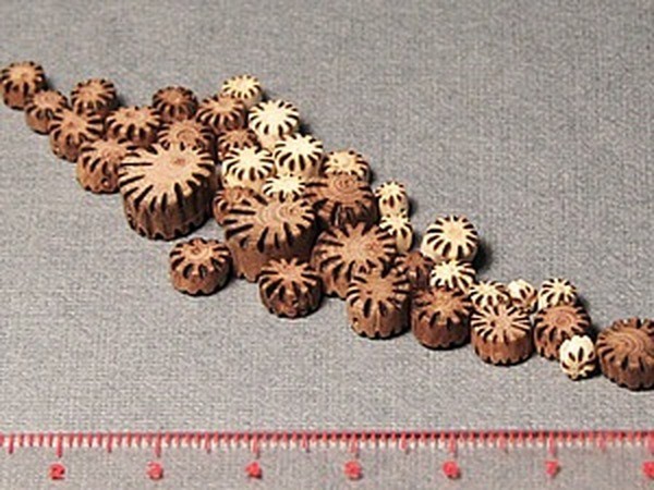 Изготавливаем этнобусины из веточек рябины Изготавливаем этнобусины из веточек рябины