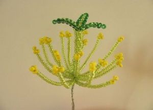 ​Кактус "Розовая мечта"