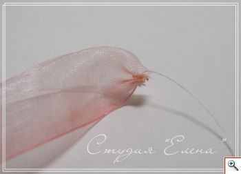 Цветы из ленты органзы