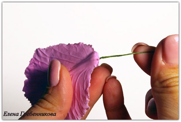 Брассика из холодного фарфора: мастер-класс, часть 1 Брассика из холодного фарфора: мастер-класс, часть 1