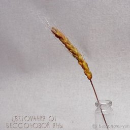 Создаем колос из фоамирана