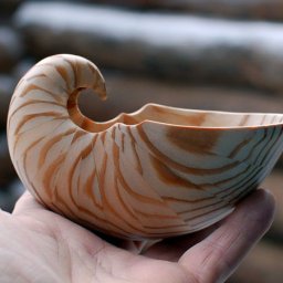 Создаем деревянную ракушку "Наутилус": часть 1