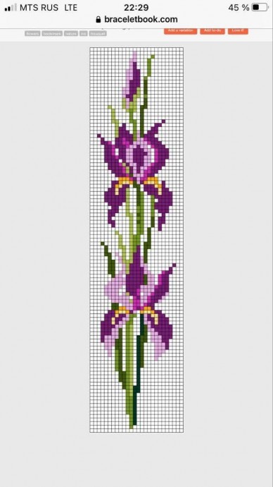 Прелесть ирисов