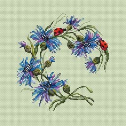 ​Вышиваем васильки