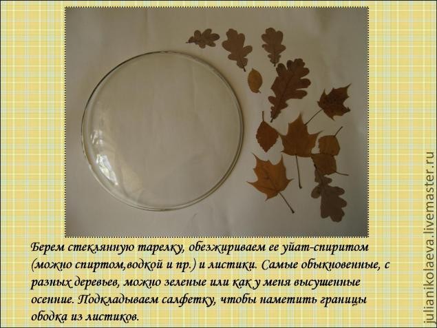 ​Процесс создания тарелочки "Жили-были ежики": часть 1