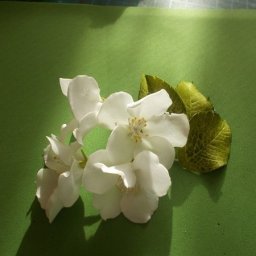 Создаем цветы яблони из фоамирана